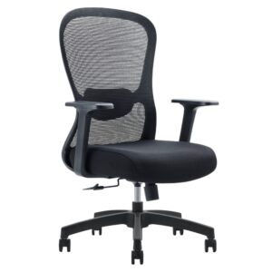 ergonomic Vero Chair with 5 year warranty